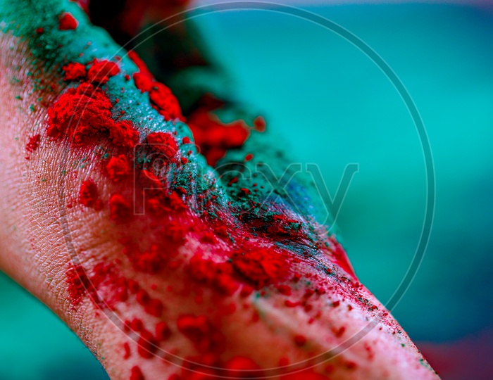 Holi Colour Splash On Hand Closeup