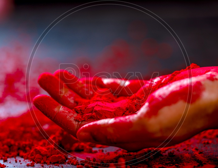 Holi Colours Being Painted On Hand  On an Isolated Black Background