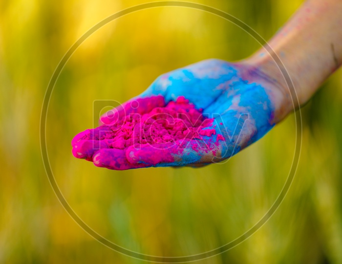 Hand Holding Holi Colour Leap Closeup