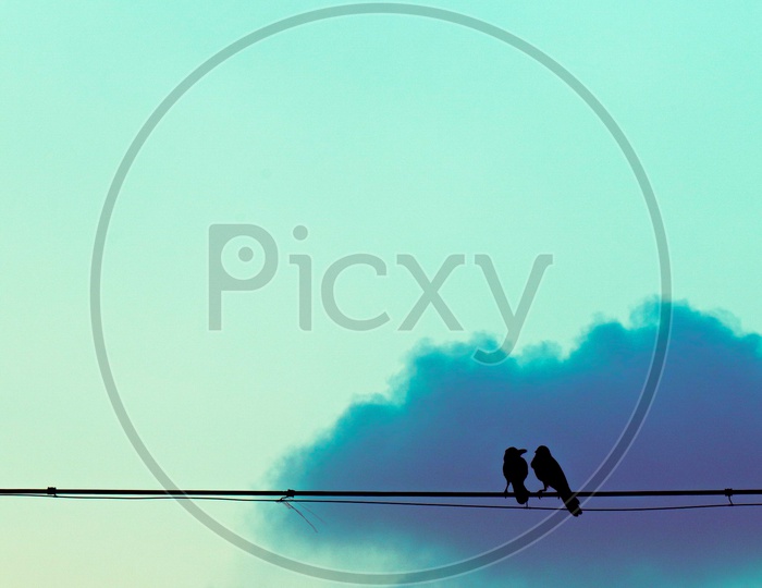 Two birds in love with clouds as background