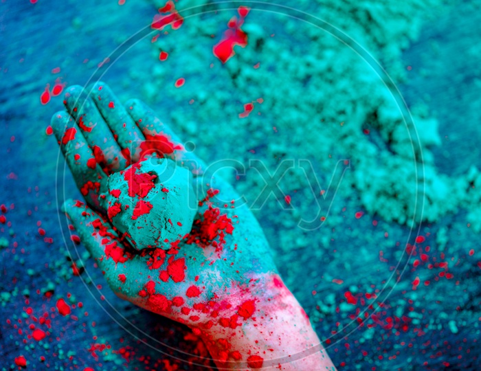 Holi Colour  Ball Or Holi Colour Bomb  Holding In Hand Closeup