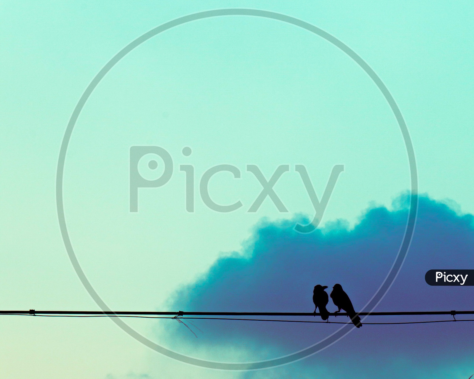 Two birds in love with clouds as background