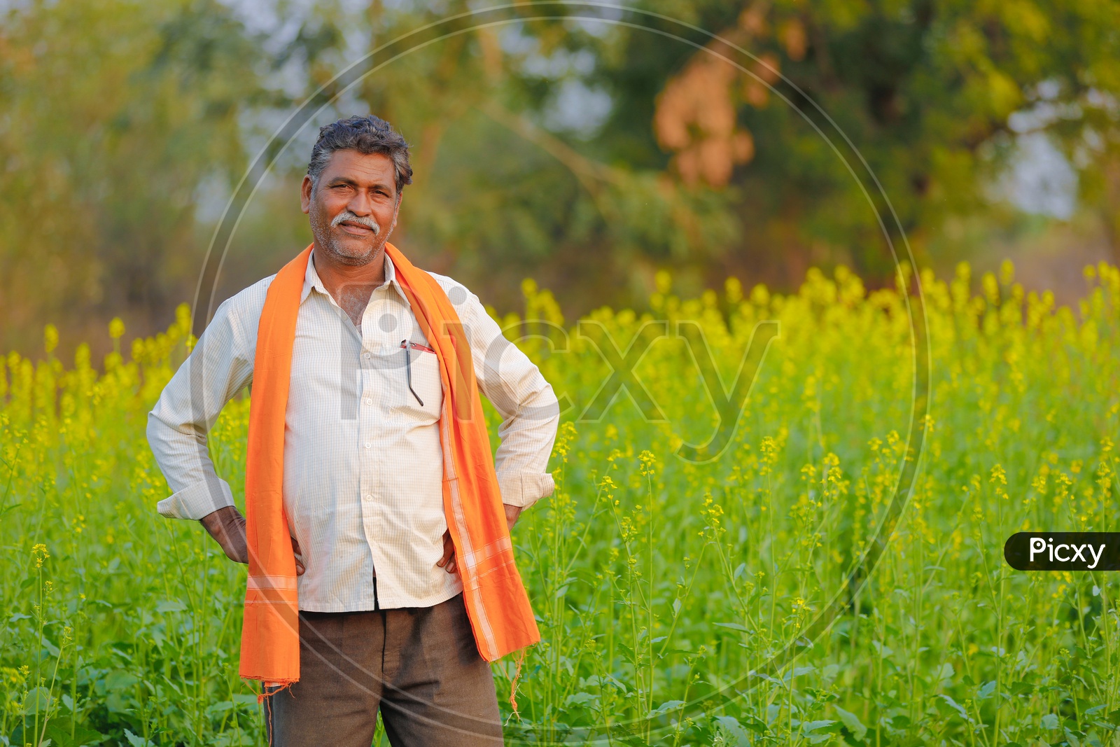 Indian Farmer In Agricultural Field With Happy Smile Face About His Corp