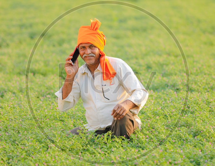 Indian Farmer Using Mobile Phone At Chickpea Field  or Agricultural Field