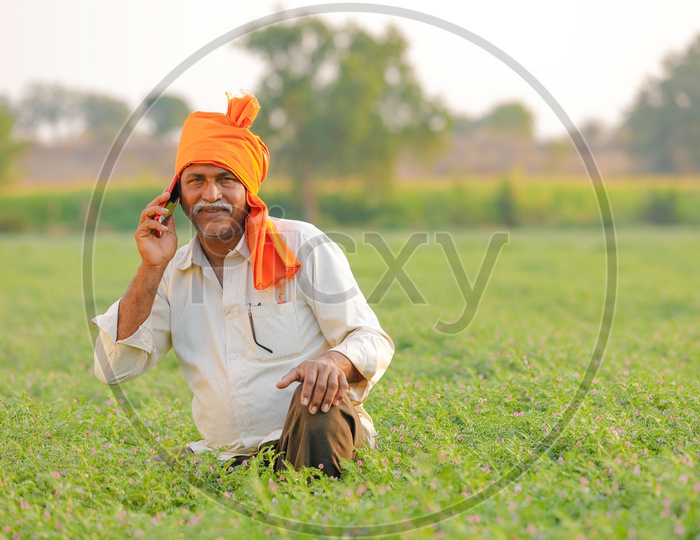 Indian Farmer Using Mobile Phone At Chickpea Field  or Agricultural Field