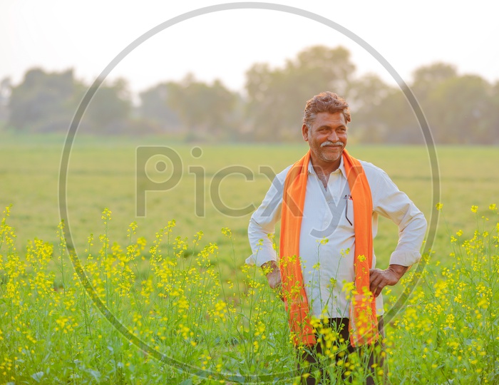 Indian Farmer With Happy Smile Face Showing The Crop In an Agricultural Field