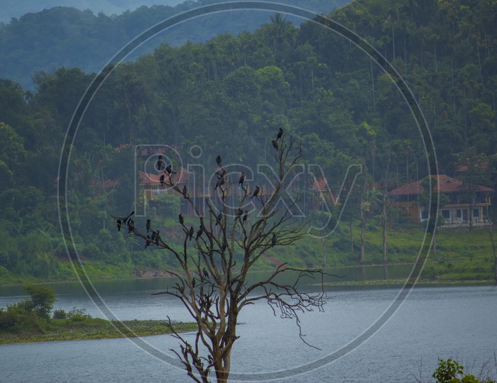 Karapuzha Dam located in the Wayanad district of Kerala
