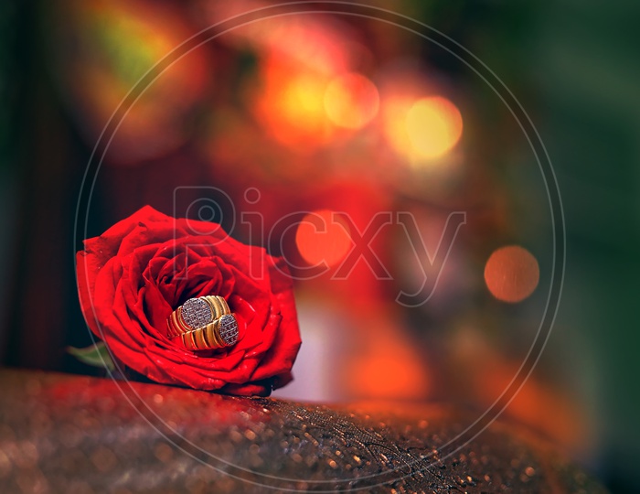 Couple Rings Or Engagement Rings  on Red Rose Flowers Background