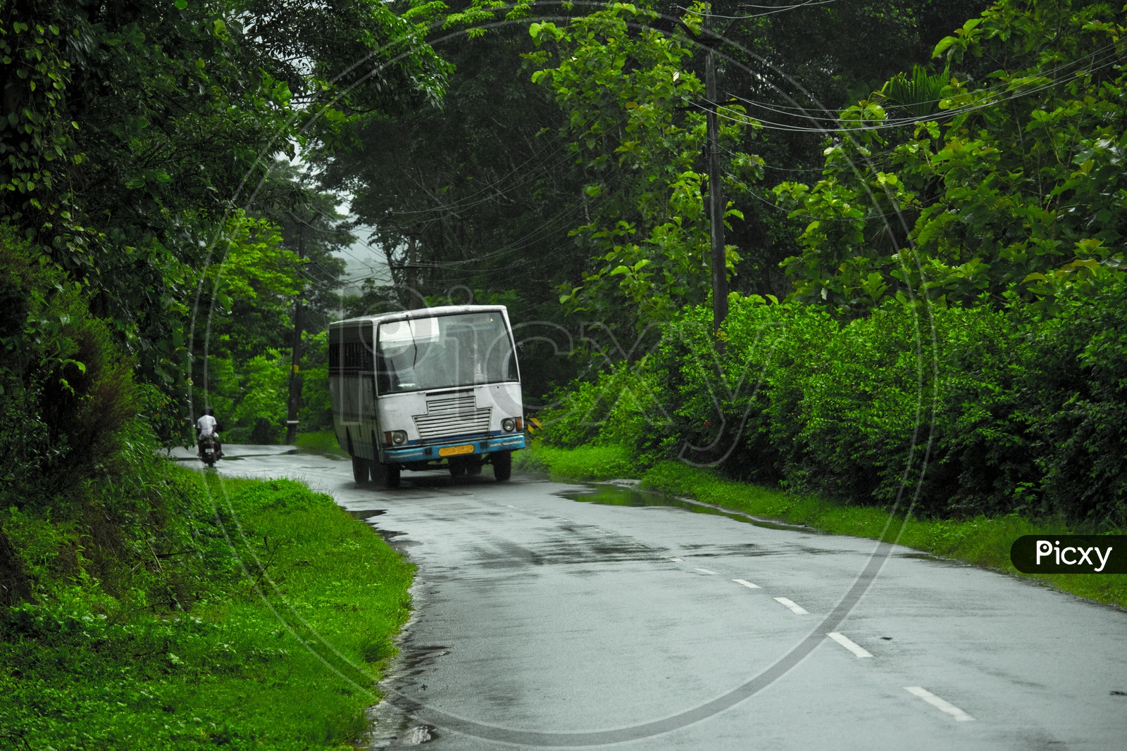 The beautiful Green Paths of the road trips to Wayanad, Kerala