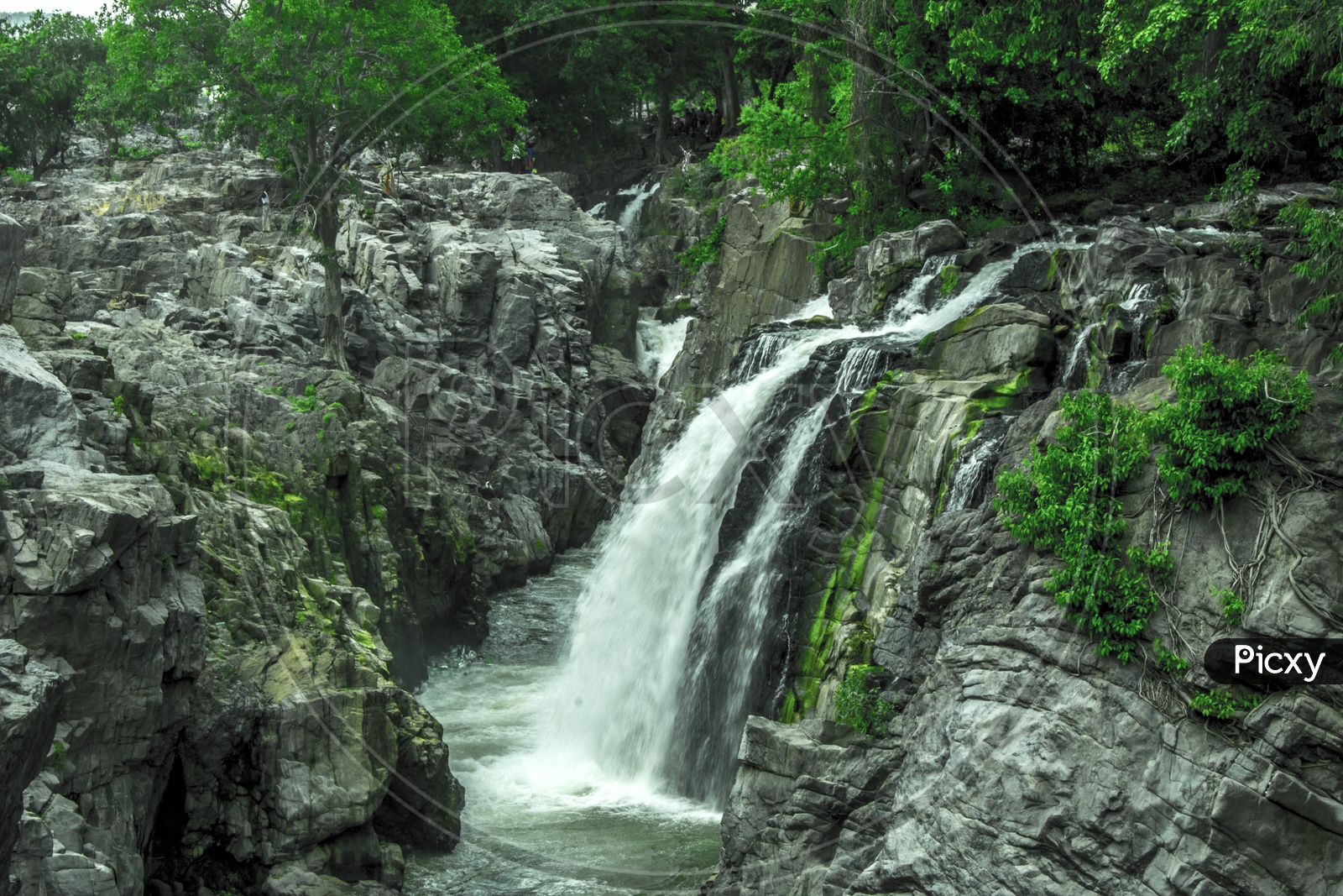 The Hogenekkal Waterfalls.