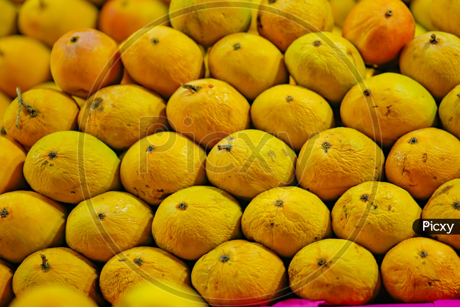 Mangoes In A Fruit Vendor Shop Or Stall