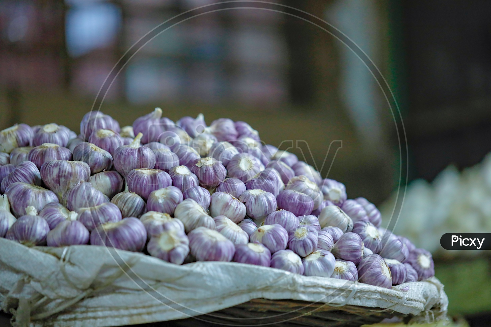 Garlic In a Vendor Stall
