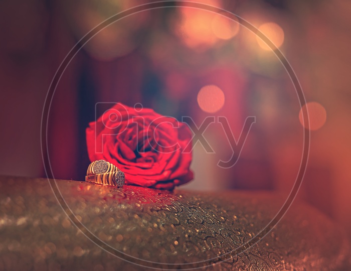 Couple Rings Or Engagement Rings  on Red Rose Flowers Background
