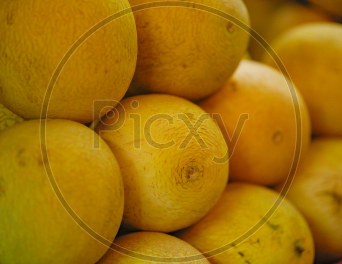 Muskmelon or Kharbuja Fruit