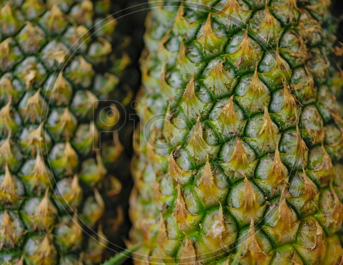 Pineapple Closeup