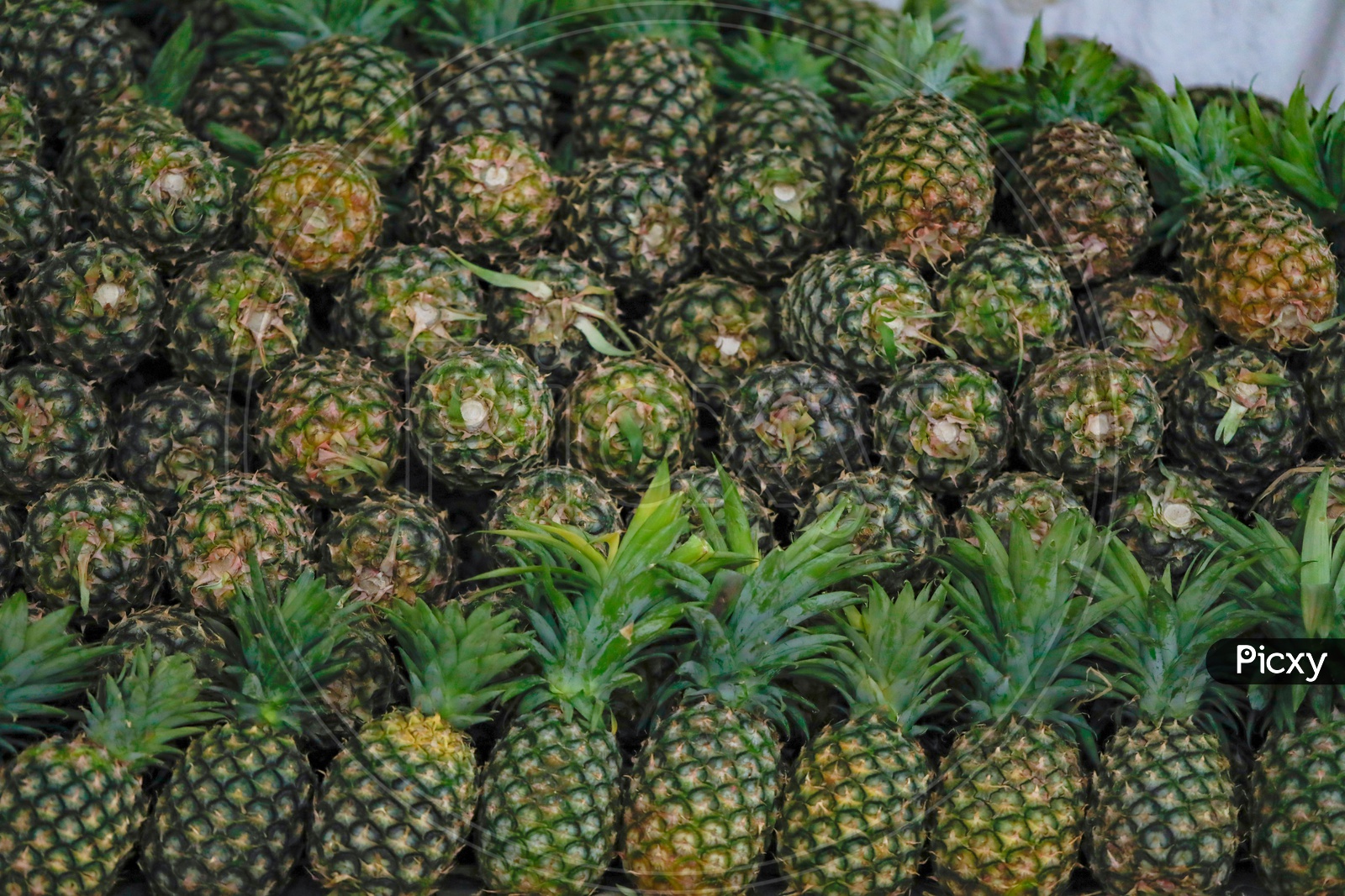 Pineapple  in a Fruit Vendor Shop Or Stall