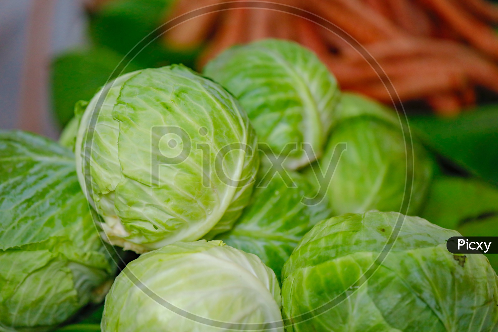 Fresh Green Cabbage in  a Vendor Stall