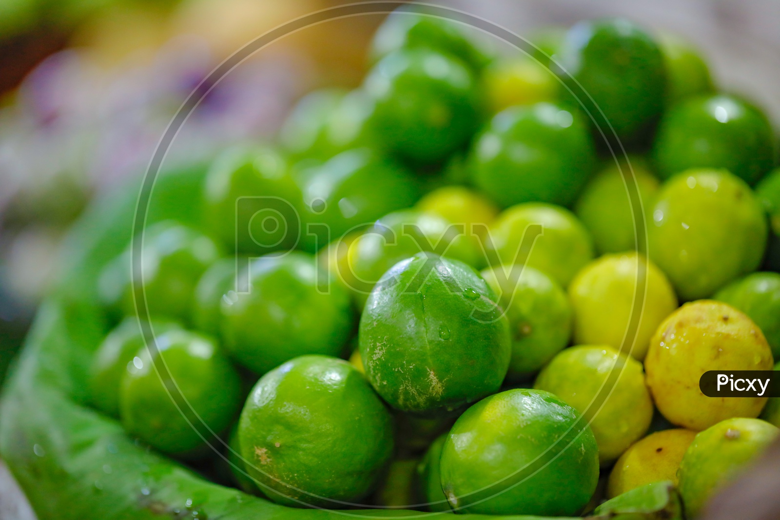 Fresh Lemons  In  a Vegetable Vendor Stall or Shop in Market