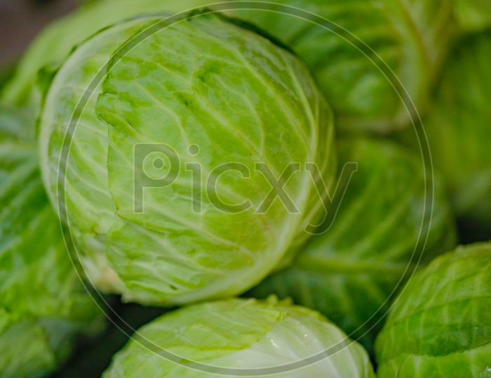 Fresh Green Cabbage in  a Vendor Stall