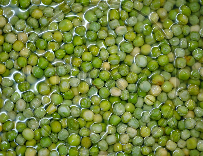 Soaked Green Peas Or Green Batani