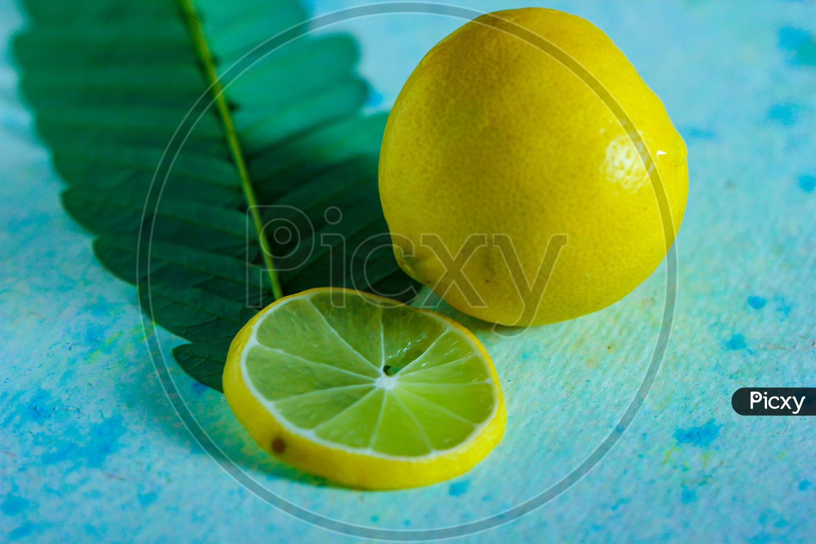 Lemon And Lemon Slices  Along With Herb Leaf