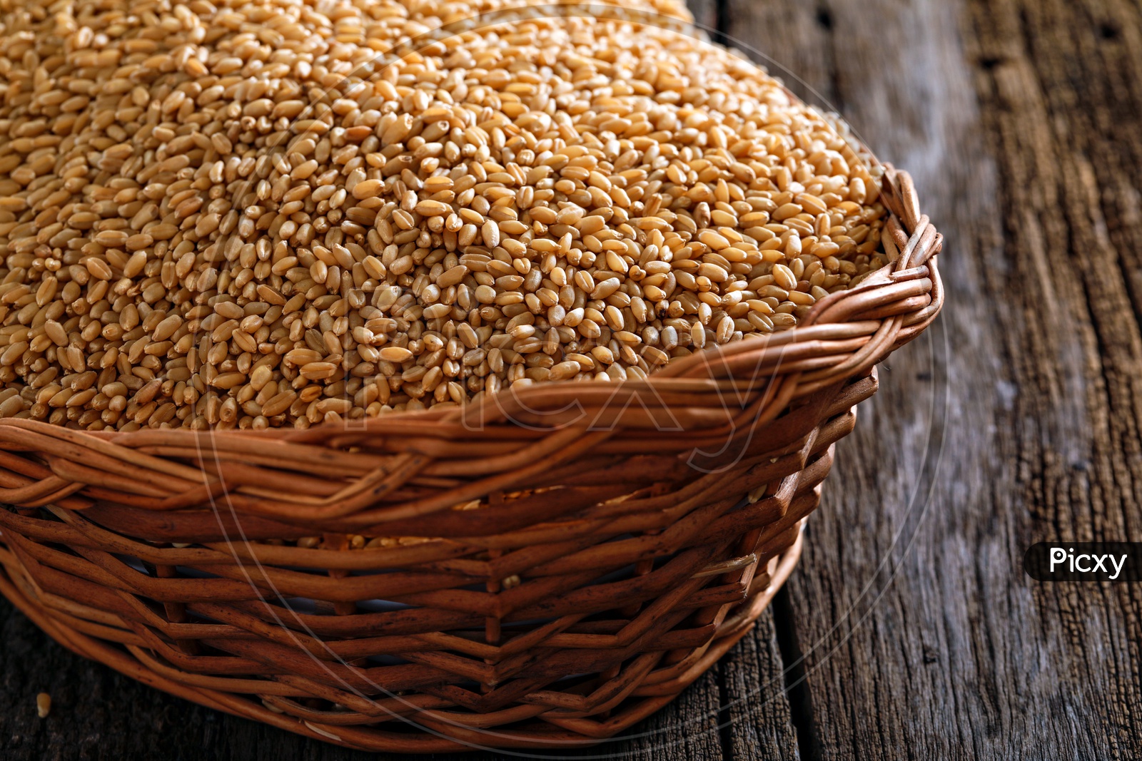 Wheat Grains In an Wooden Weaved Basket On an Isolated Wooden Background