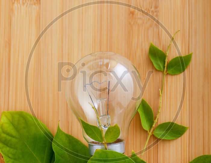 Bulb With Green Leafs On Wooden Background