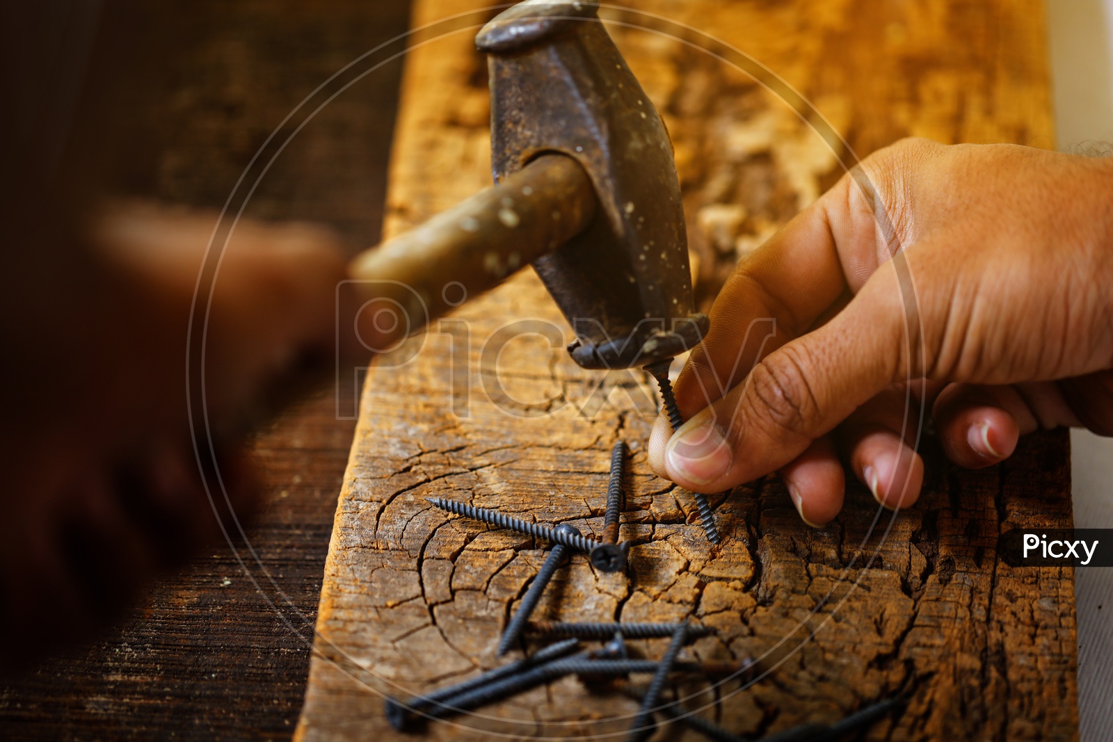 Using Nail And Hammer On Wood