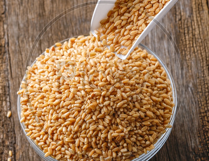 Wheat Grains In a  Glass Bowl On an Isolated    Background