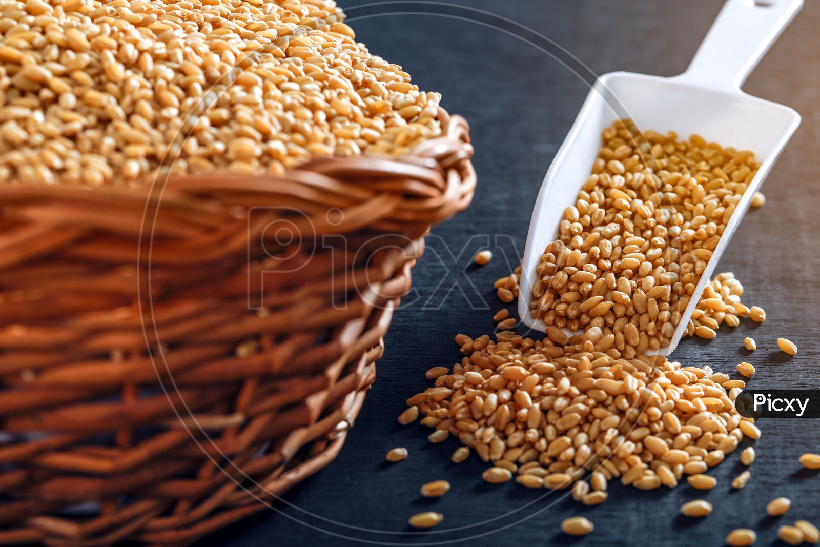 Wheat Grains In an Wooden Weaved Basket On an Isolated Black Background