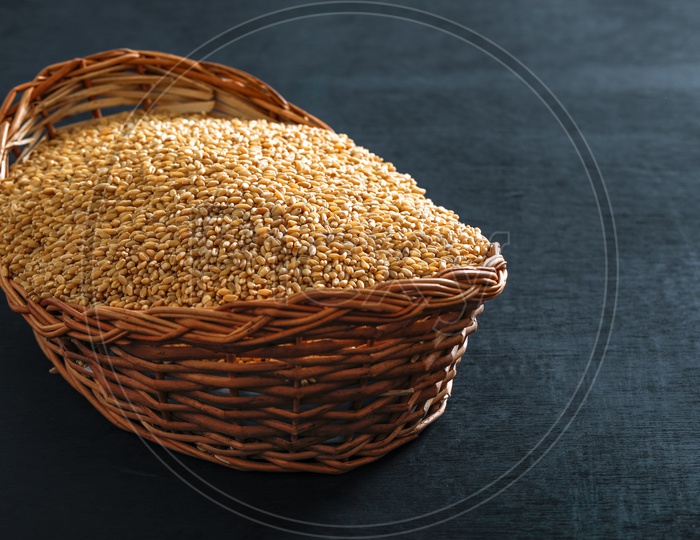 Wheat Grains In an Wooden Weaved Basket On an Isolated   Background