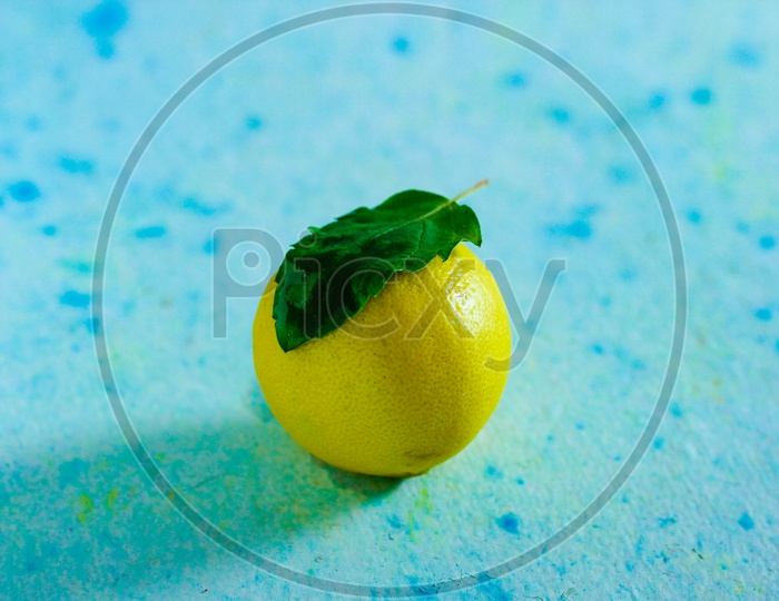 Lemon With Herb Leaf