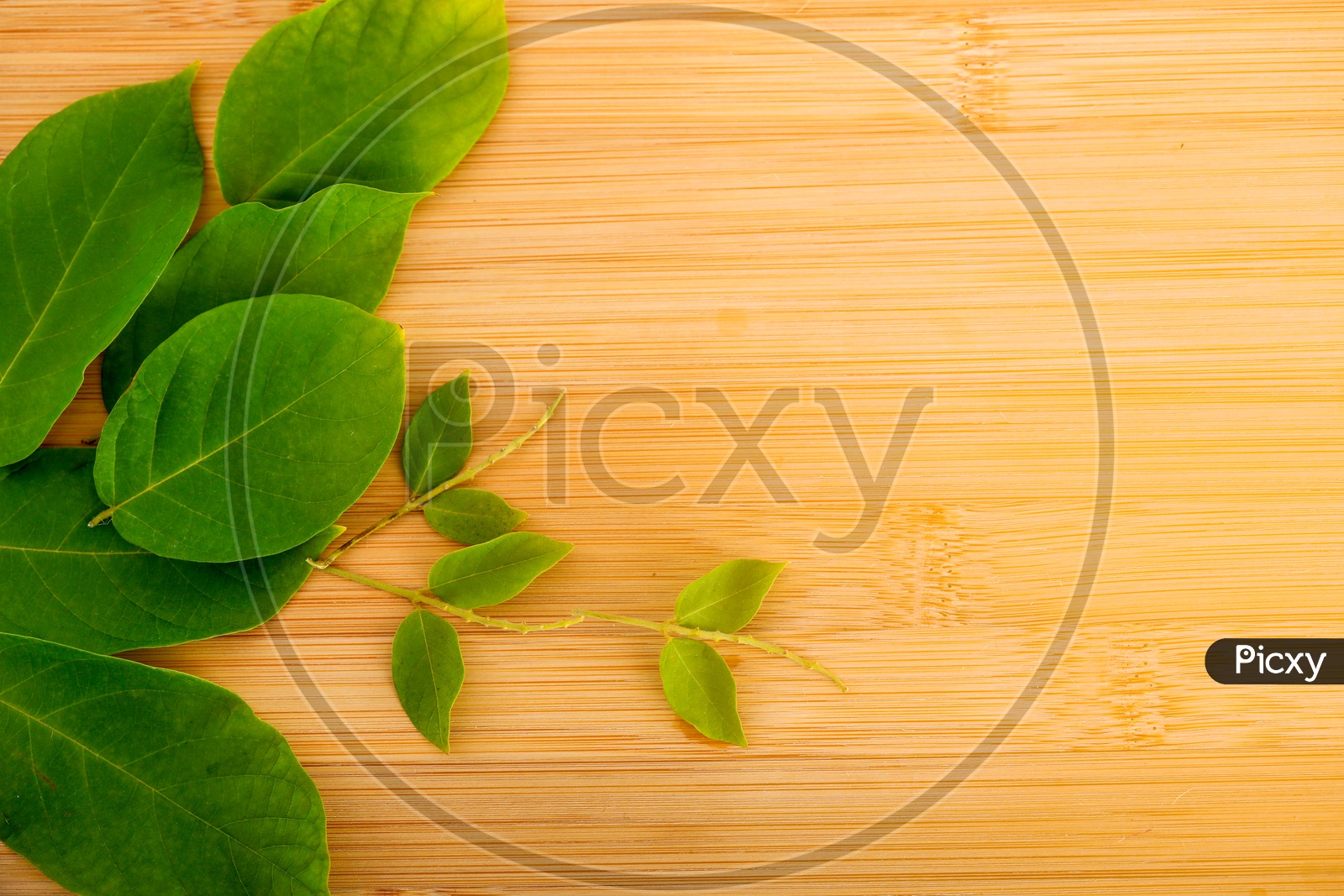 Green Leafs   on Wooden Table Abstract Background