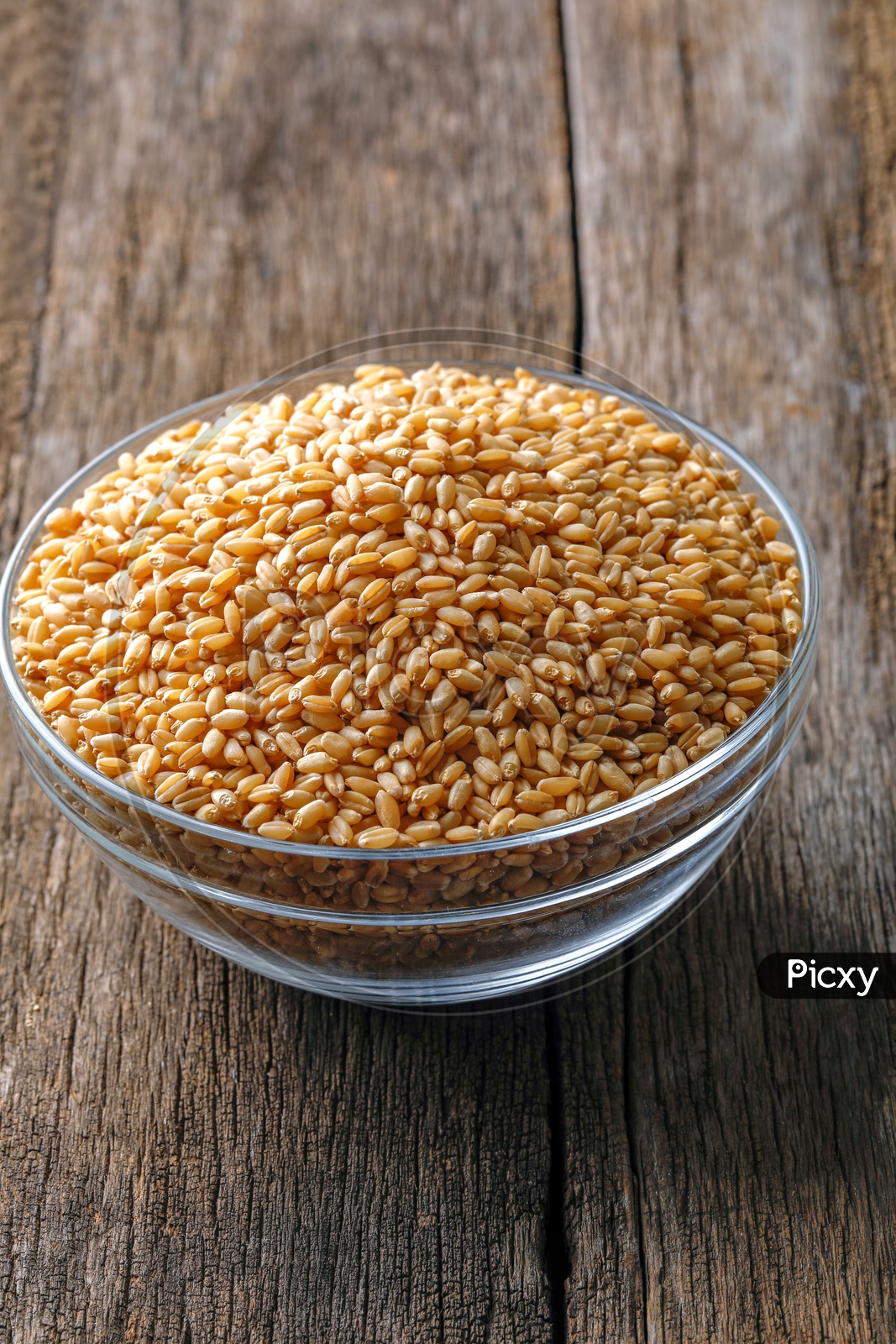 Wheat Grains In a  Glass Bowl On an Isolated Wooden Background