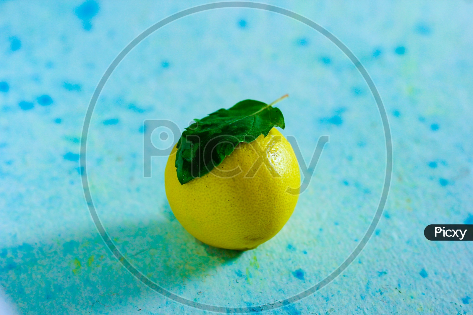 Lemon With Herb Leaf