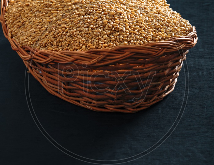 Wheat Grains In an Wooden Weaved Basket On an Isolated   Background