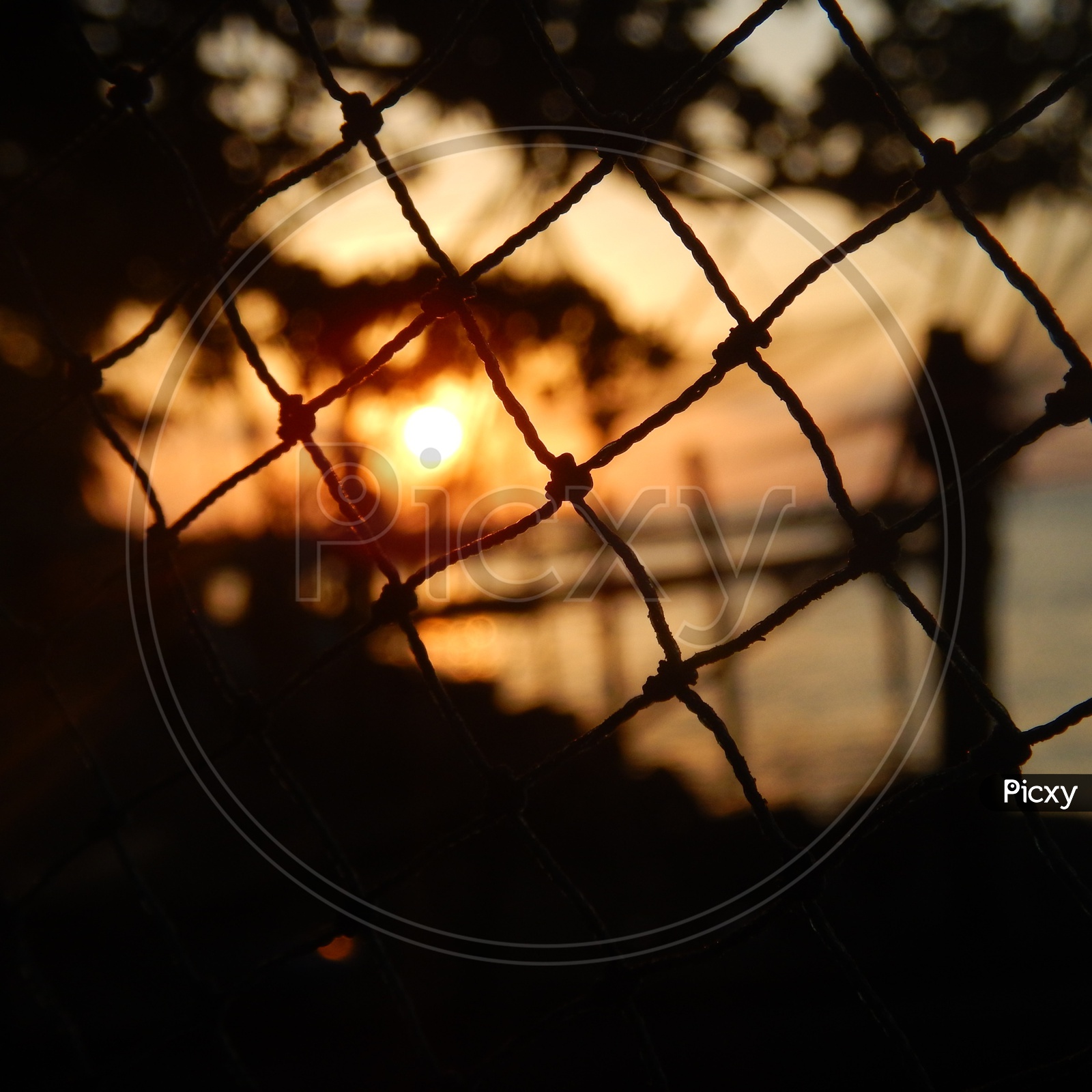Sunrise through a net at fisherman's bay in kerala.