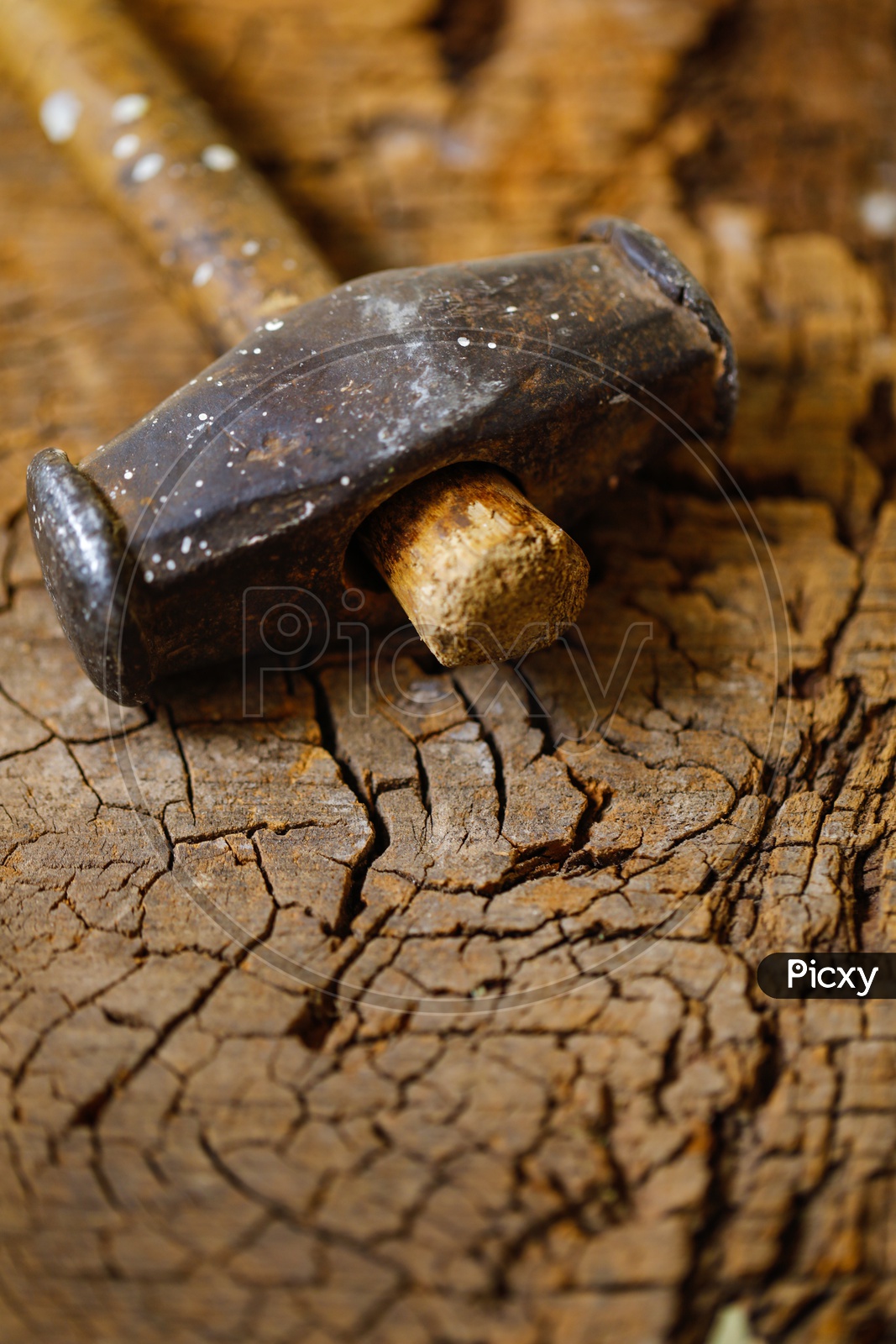 Hammer Tool On an  Wooden Background