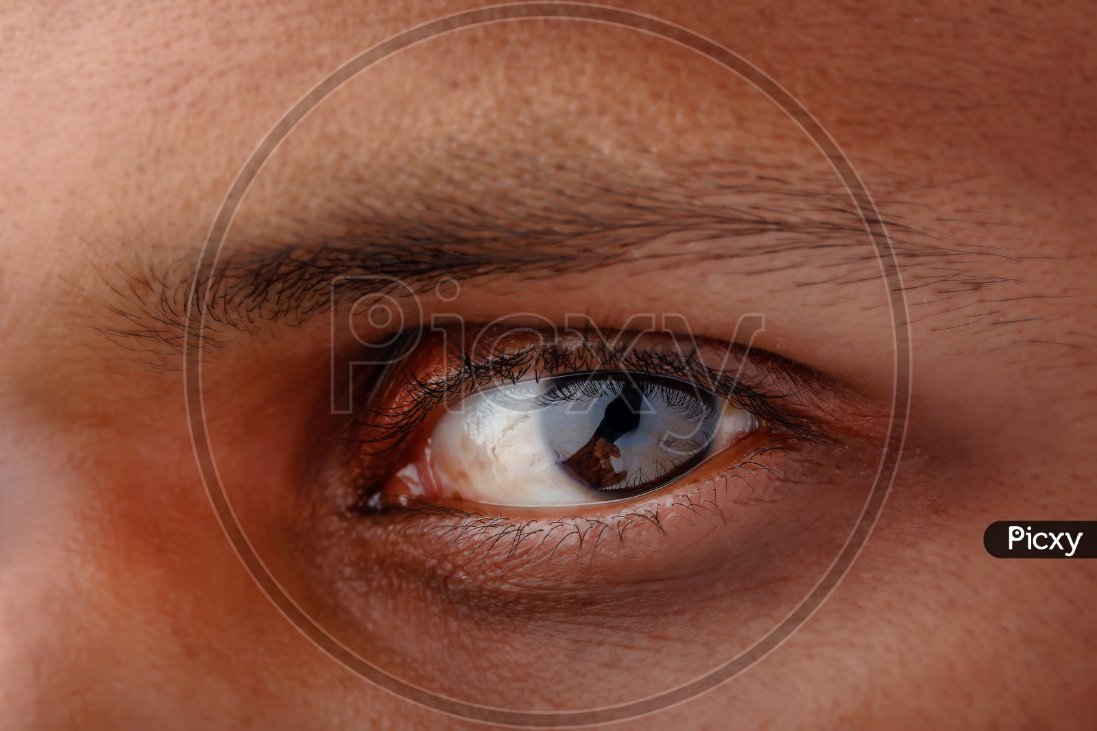 Human Sharp Eye Closeup  Eye Vision