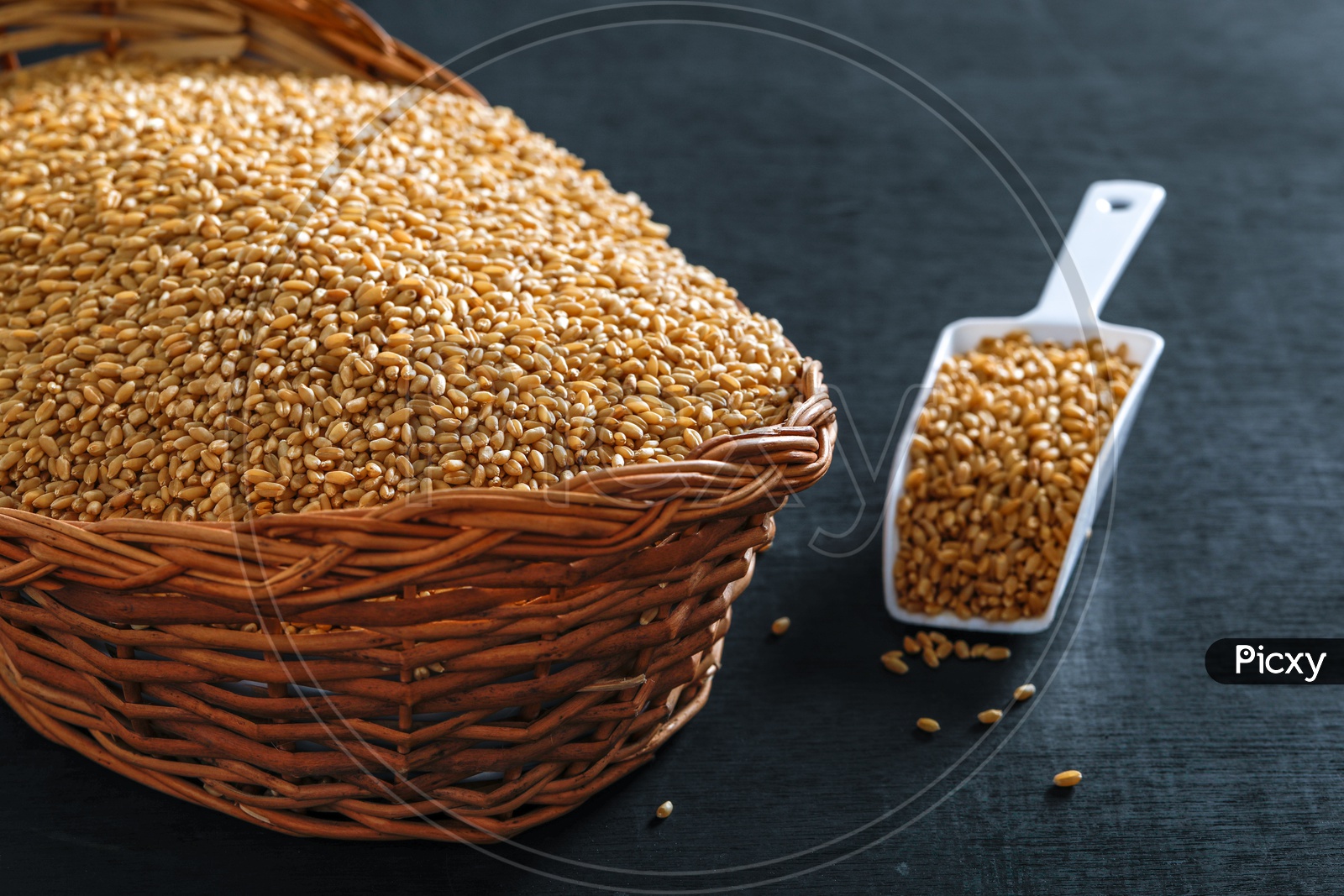 Wheat Grains In an Wooden Weaved Basket On an Isolated  Background