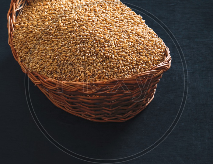 Wheat Grains In an Wooden Weaved Basket On an Isolated Background