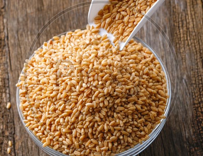 Wheat Grains In a  Glass Bowl On an Isolated   Background