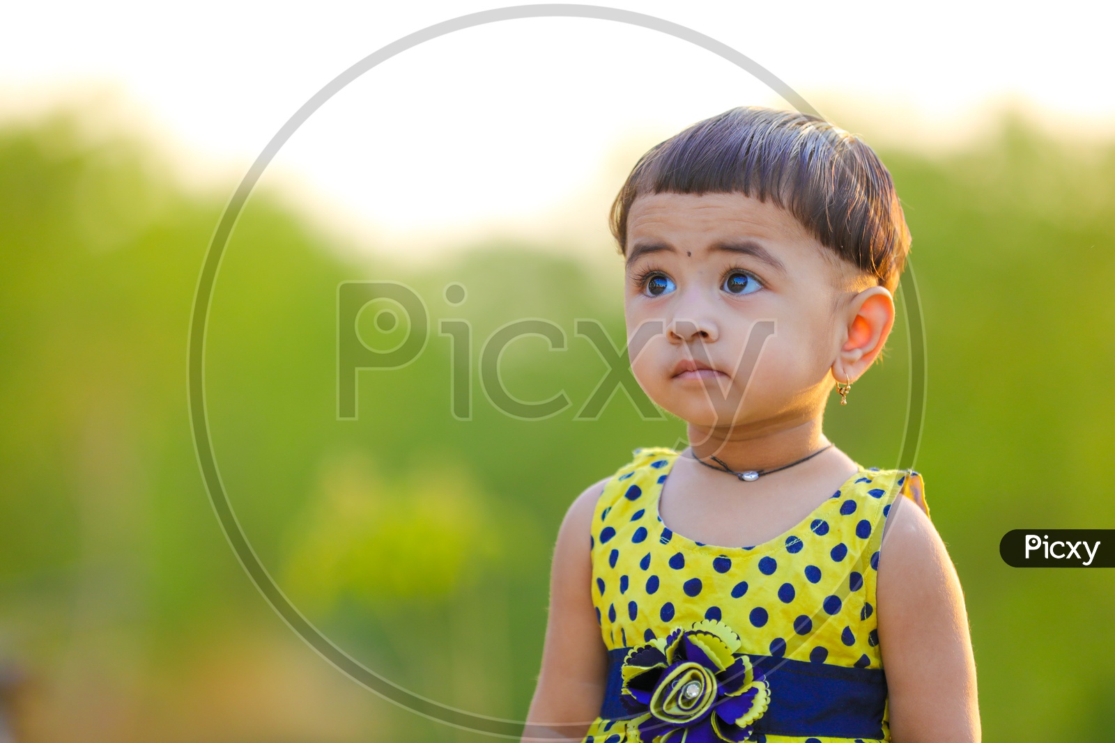 Image of Cute Little Girl Child Playing in Outdoor-GB542887-Picxy