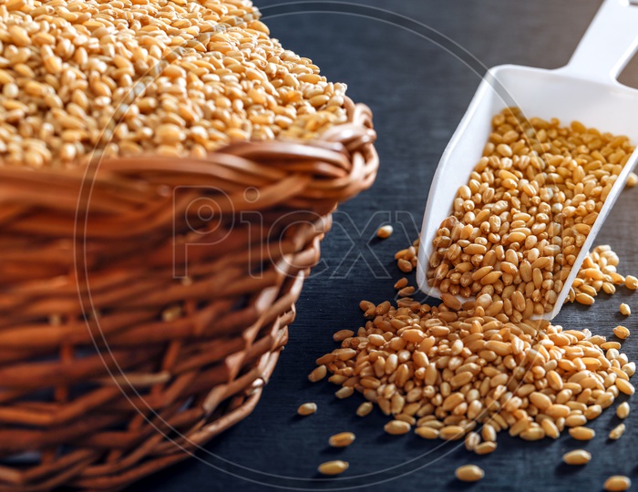 Wheat Grains In an Wooden Weaved Basket On an Isolated Black Background