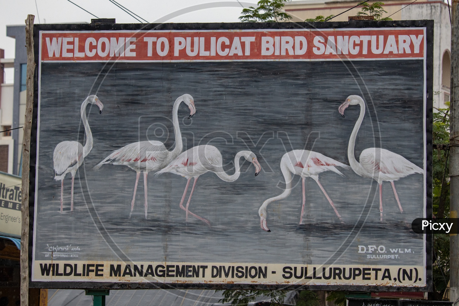 Pulicat Bird Sanctuary Welcome Board By Wild Life Management Division