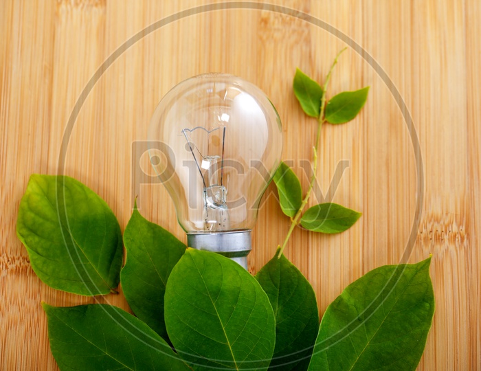 Bulb With Green Leafs On Wooden Background