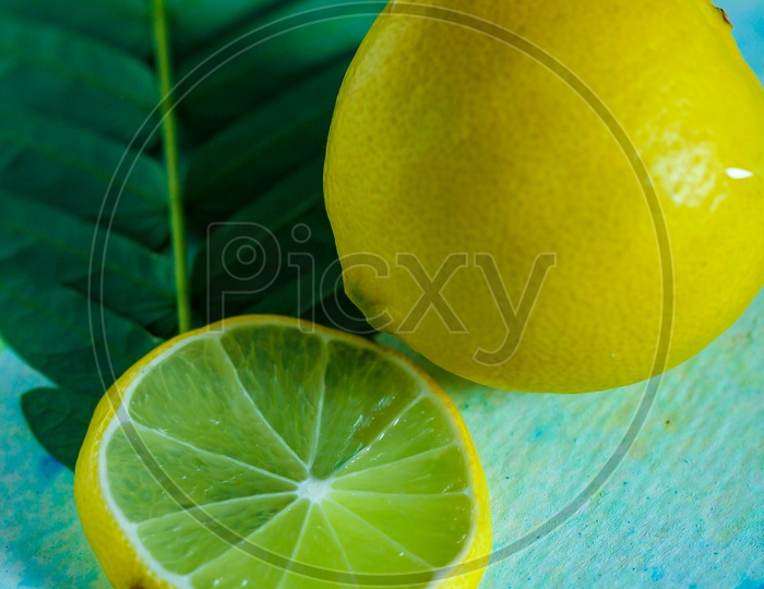 Lemon And Lemon Slices  Along With Herb Leaf