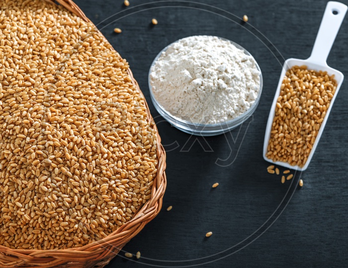 Indian Wheat Grains And Wheat Flour