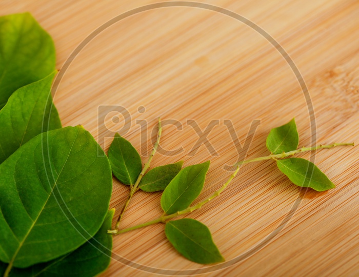 Green Leafs   on Wooden Table Abstract Background