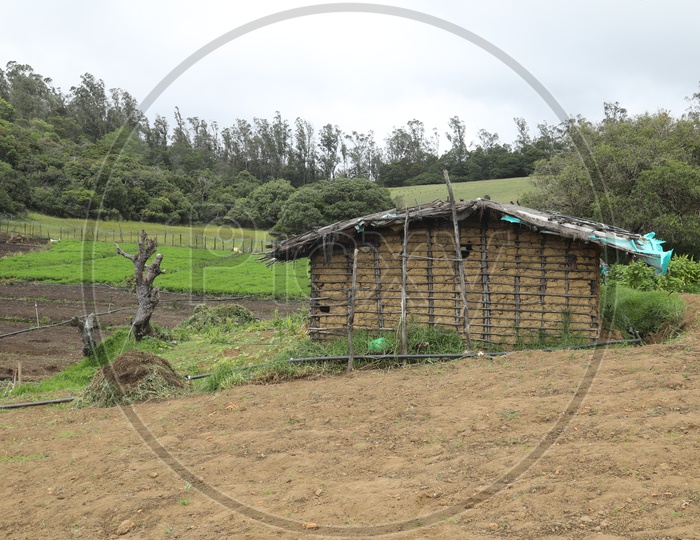Huts In Agricultural Fields